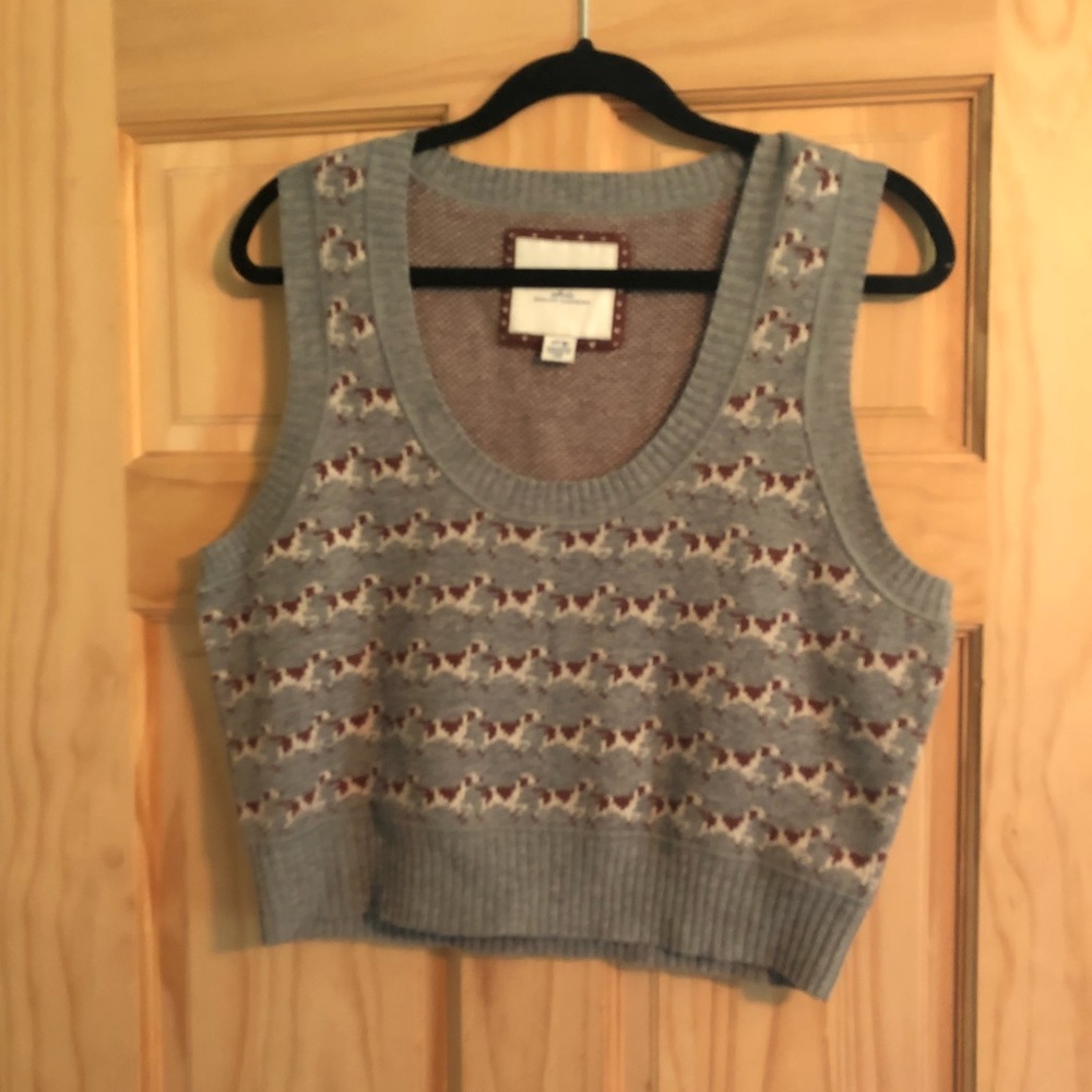 American Eagle Sweater Vest